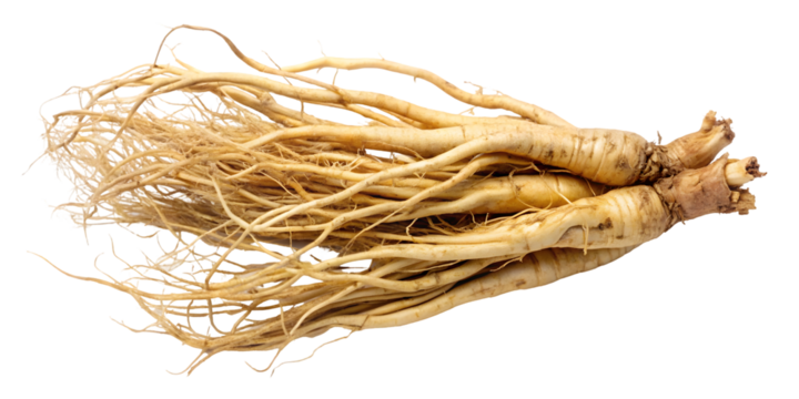 You've reached our limit of messages per hour Please try again later