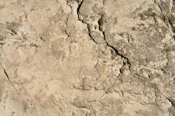 Detail of a stone surface on a sunny day