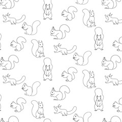 Obraz premium Squirrel doodle hand drawn elements seamless pattern