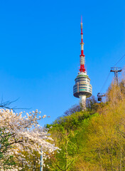 View of the Seoul Tower and some flowers in spring in Seoul, South Korea.