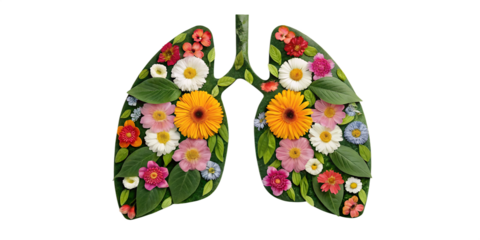 Lungs Illustrated with Vibrant Flowers and Leaves, Creative Lung Illustration, Nature and Health, Cut Out