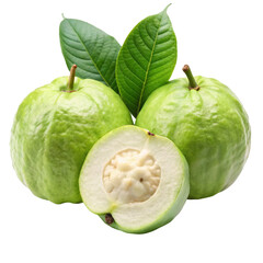 Fresh Guava Fruits Isolated on White Background
