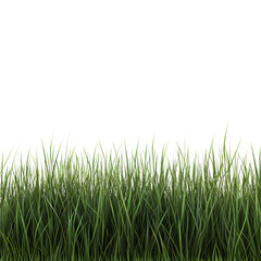 Fototapeta premium Lush green grass blades forming a natural border along the bottom edge, isolated on a pure transparent background for design.