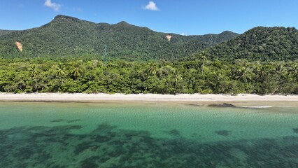 Fototapeta premium Remote Rainforest Australia