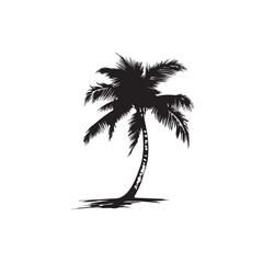 coconut tree silhouette