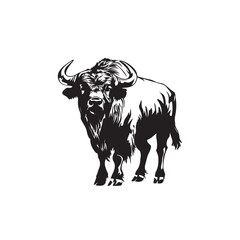vector illustration of a bull