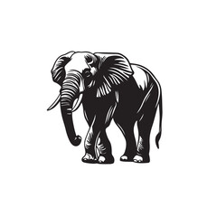 elephant vector illustration