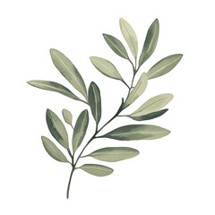 flowers and leaves in pictures illustrator2D