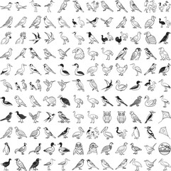 vector seamless pattern with hand drawn icons