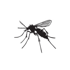 mosquito sucking blood