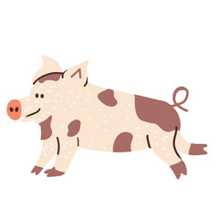 isolated object on white background Pig Pet Mini Pig. Vector hand drawn illustration.