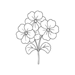 Flowering violets illustration on white background