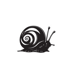 snail on white background