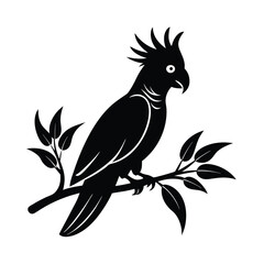 parrot on a branch vector Silhouettes illustration