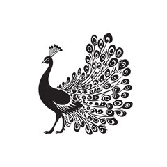 peacock vector illustration