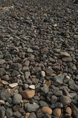 Close-Up of Pebbles and Rocks on a Shoreline