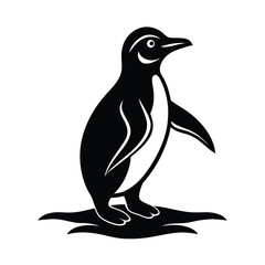 penguin vector illustration