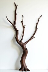 Fototapeta premium Twisted and turned tree branches against white background, unique, rustic, turned