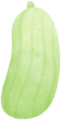 green cucumber 