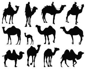Black silhouettes of camels on a white background