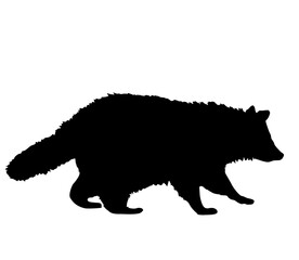 Raccoon black silhouette. Isolated white background. Side view illustration. Raccoon silhouette, icon, mascot. Wildlife illustration