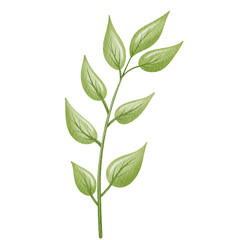 Watercolor Leaf Branch.