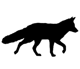 Fox silhouette on a white background. Wild animal logo. Forest animal. Nature symbol. flat animal silhouette