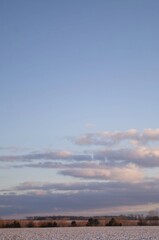 Scenic winter landscape in Ukraine with a snow-covered field, distant trees, and a colorful sky with soft clouds at sunset