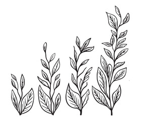 Tree branch hand draw illustration. Black and White twig with leaves collection. Sketch design decorative elements.