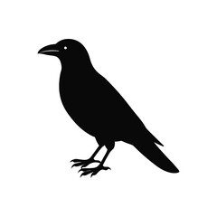 Crow  silhouette vector illustration 