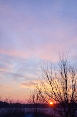 Winter sunrise in Ukraine with bare tree branches silhouetted against a pastel-colored sky and golden sun