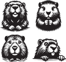 Beaver Head Silhouette Vector Illustration Art-9