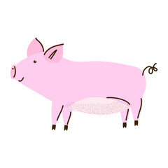 Cute pink pig. Farm animal