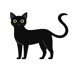 black cat illustration vector