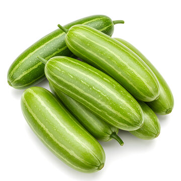 Fresh Pointed Gourd, Raw Organic Trichosanthes Dioica, Group on White Background