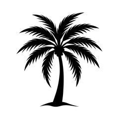 silhouette of palm trees