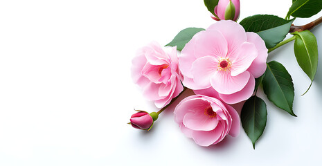 Fototapeta premium 3D design of vintage cards with roses and flowers, elegant floral composition with intricate details and classic aesthetics 