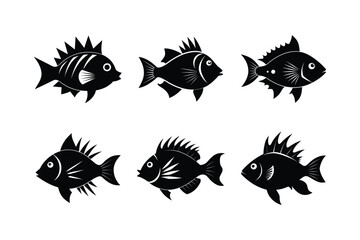 Sunburst Parrotfish silhouette vector illustration