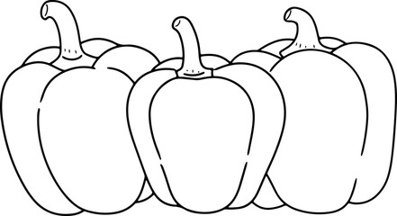 capsicum hand drawn