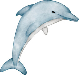 watercolor dolphin