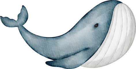 watercolor whale © Je