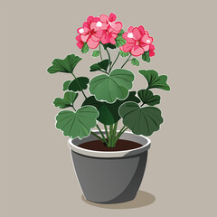 houseplant vector pink flower in a pot