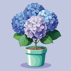 Hydrangea in a pot. Vector illustration with a blue hydrangea. houseplant vector