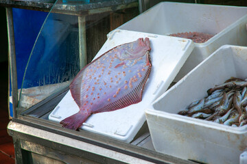 Freshly caught fish are sold at the Turkish market in the village. Flounder is sold at the...
