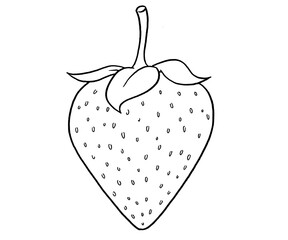 Strawberry Hand Drawn Illustration
