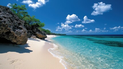 Relaxing beach day tropical paradise scenic photography coastal environment aerial view tranquil escape