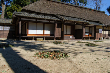 茅葺屋根と落ち葉