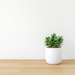 Fototapeta premium Small potted plant in minimalist white pot on wooden table, adding touch of nature to decor