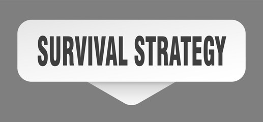 survival strategy sticker. survival strategy sign isolated on gray background