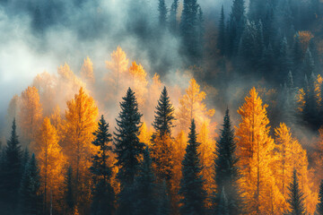 A Serene Landscape with Trees in the Morning Fog